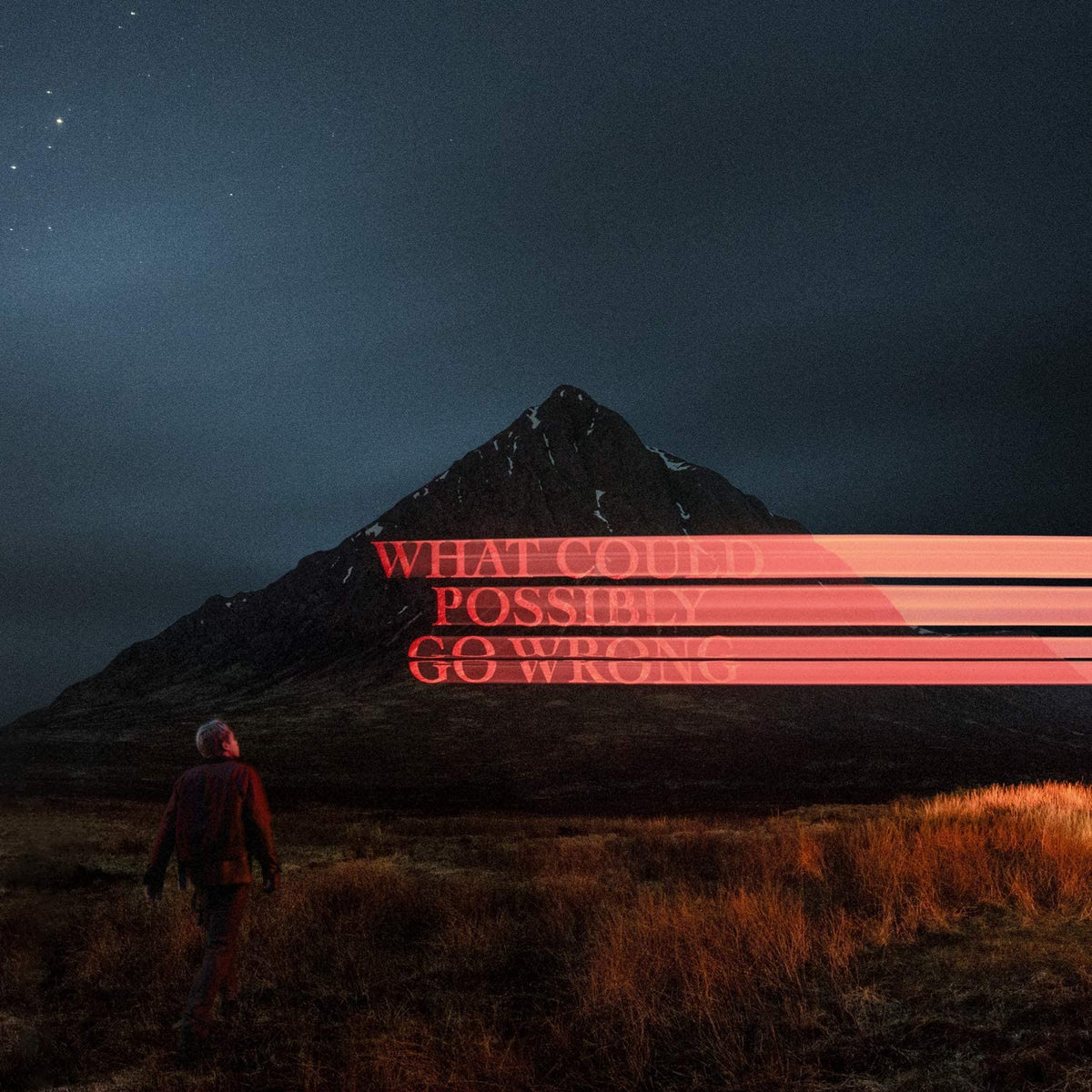 What Could Possibly Go Wrong - DOMINIC FIKE [VINYL]