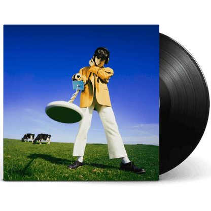 What Happened to the Beach? - Declan McKenna [VINYL] BUNDLE SOLD OUT