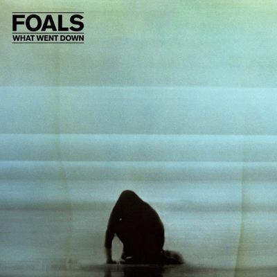 What Went Down - Foals [VINYL]