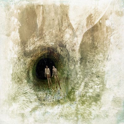 Couple in a Hole - Beak> [VINYL]