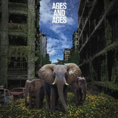 Something to Ruin:   - Ages and Ages [VINYL]