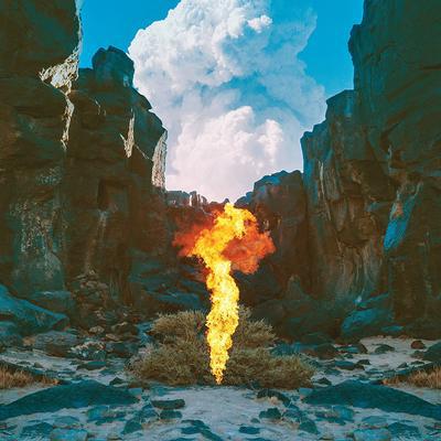 Migration:   - Bonobo [VINYL]