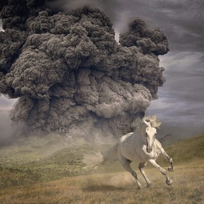 Year of the Dark Horse - The White Buffalo [VINYL]
