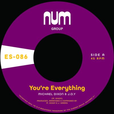 You're Everything/You're All I Need - Michael A. Dixon & J.O.Y. [VINYL]