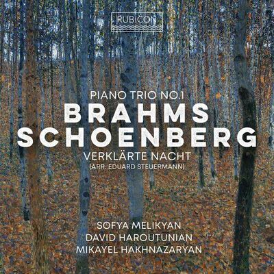 Brahms: Piano Trio No. 1/Schoenberg: Verklärte Nacht - Johannes Brahms [CD]