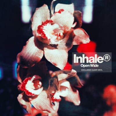 Open Wide (Golden Discs Exclusive Clear Edition] - Inhaler [Colour Vinyl]