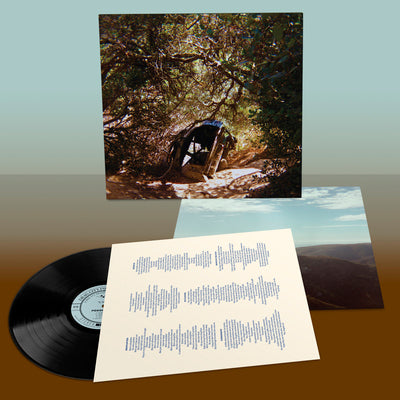 Possession - Ty Segall [VINYL]