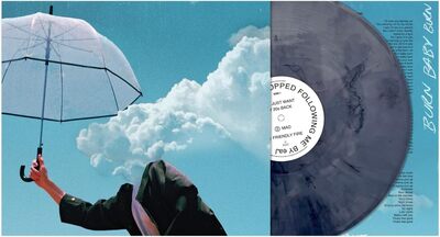 When the Rain Stopped Following Me - eaJ [VINYL]